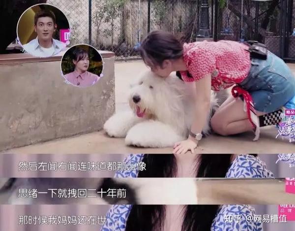 霍思燕的崩溃真不是矫情