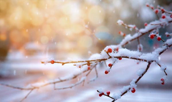 好词好句摘抄之"雪":这些惊艳窒息的高级词句,看一眼就想摘抄!