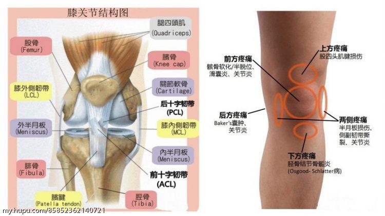 膝关节损伤分有三种情况:膝关节半月板损伤,膝侧副韧带损伤和髌骨劳损