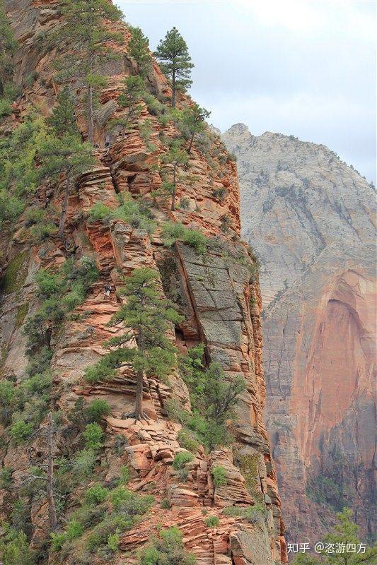 这是登顶前最陡峭的那条山脊