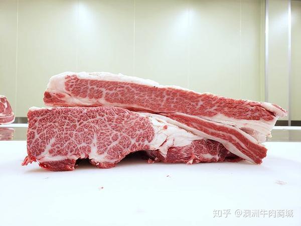 专业牛各部位实拍牛肉分割图