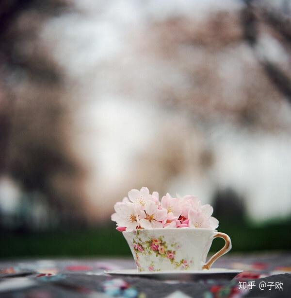 过去的就让它过去,争取珍惜现在的每一天