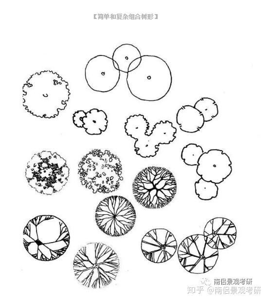 树丛-树阵 树丛: 常用在大尺度场地中表现群植的植物,注意控制形态与