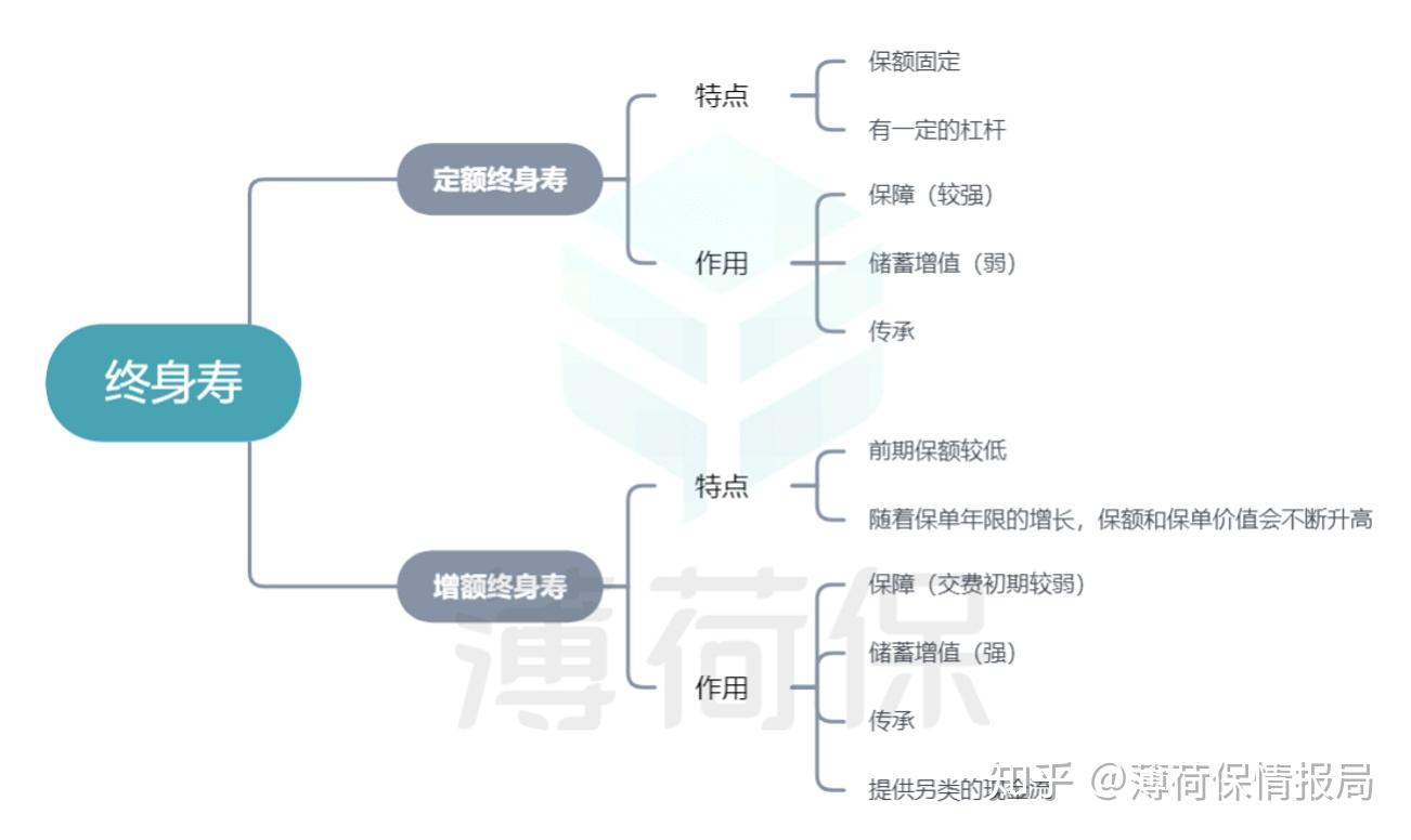 终身寿险的意义与功用是什么?终身寿险科普指南!