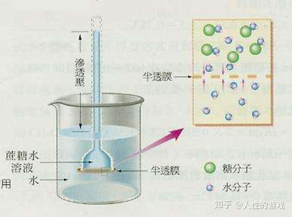 新型冠状病毒148亲水性极化疏水性微囊化