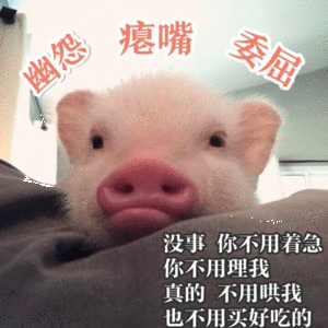 有什么适用于和老公/男票撒娇的可爱表情包?