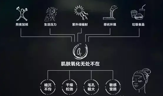 皮肤做好抗氧化真的很重要什么是皮肤抗氧化抗氧化是怎么影响皮肤衰老