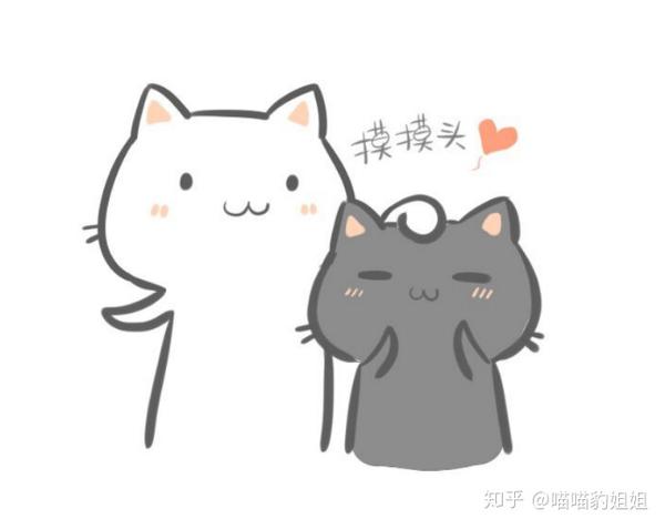 【我们一起学猫叫】如何读懂猫的叫声语言?