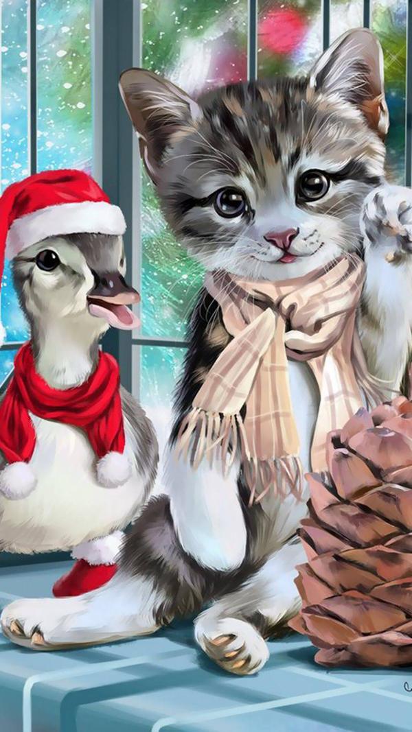 求猫咪壁纸or其他动物高清壁纸~~?