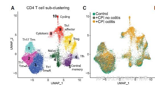 图4:cd4 t细胞单细胞测序亚群分析及流式进一步对cd8 t细胞不同亚群的