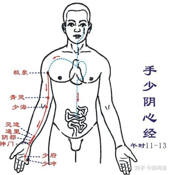 《静记忆·故事法记穴位》——手少阴心经