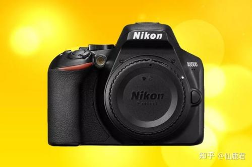 2022年尼康相机哪款好尼康相机型号排名推荐7500字选购攻略
