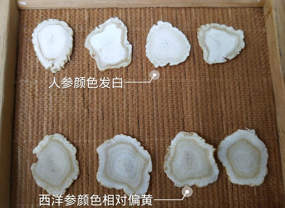 先从这张对比图开始:1人参切片 vs 西洋参切片5 人赞同了该文章已认证