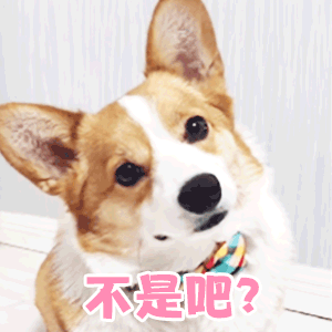 300_300gif 动态图 动图