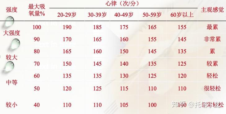 心率范围 zhuanlan.zhihu.com