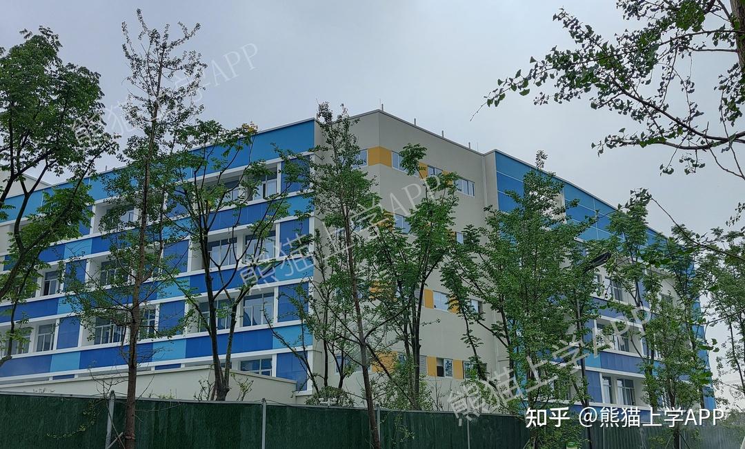 一大波实拍图来了揭开泡桐树小学桐欣校区神秘面纱附2021年该校区招生