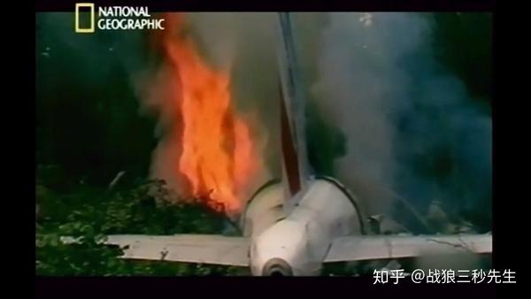 空中浩劫系列十二法国航空296号班机空难著名的波音种树