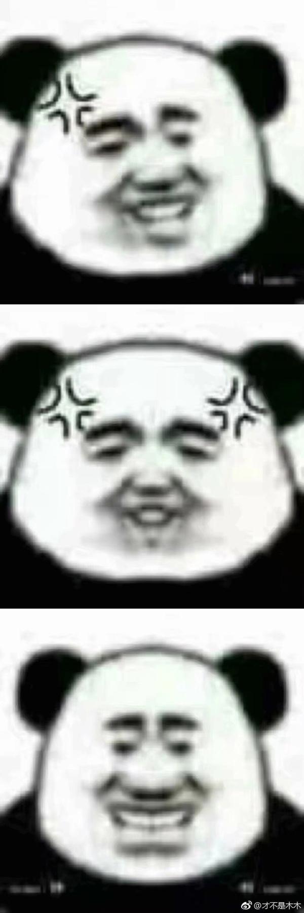 镜面后的沙雕表情包哈哈哈哈哈哈哈哈哈哈