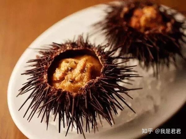 [分享篇]海胆的几个种类▏海胆的吃法▏海胆文案