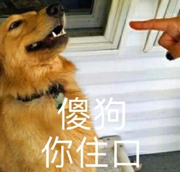 有哪些秒变开心的沙雕表情包?
