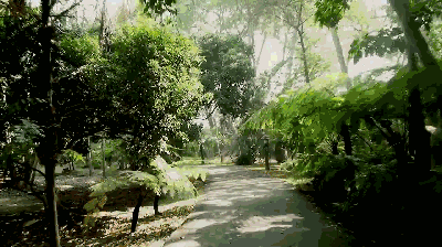 漫步森林 深呼吸 感受自然 拥抱生态生活 让喧嚣的世界沉下来 找回