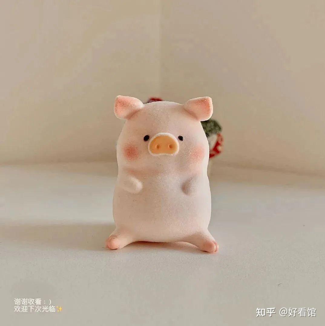 2021最火背景图片小清新干净的背景图片背景图片唯美小清新小清新图片