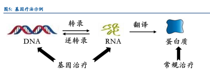 基因疗法热度持续攀升新秀诺思兰德拳头产品剑指超百亿市场