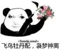 不是啥重要的东西,就是女装的表情包而已