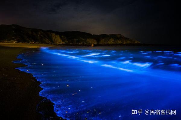 3. 荧光海 提到花鸟岛怎么能没有荧光海?