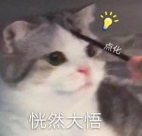 我不过是只任人摆布的小猫咪罢了.槑槑子