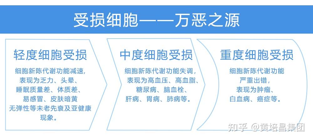 氢分子与人体内万恶之源的自由基