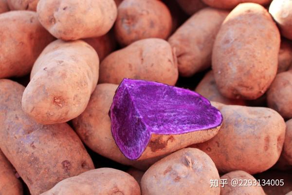 云南高原紫土豆-富含花青素