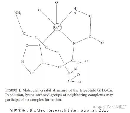 上图就是三肽的分子式,全名叫做: 氨基乙酰基-l-组氨酸-l-赖氨酸