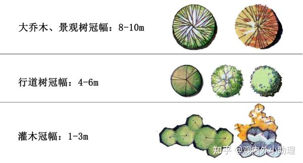 专题解析植物配置太普通帮你轻松解决景观快题中的植物配置问题