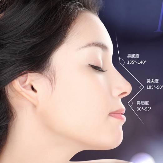 5cm;  鼻子的宽度:两鼻孔外侧缘的距离一般相当于鼻长度的70%,鼻根部
