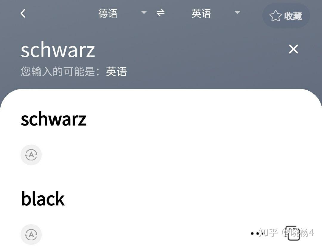 von schwarzau(originally de suasso)富格尔的首席会计师姓schwarz