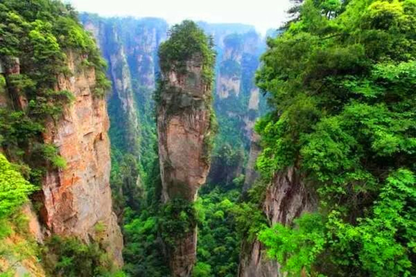 景点二,杨家界
