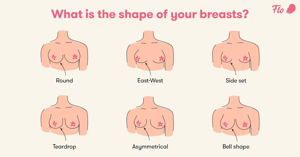 女人乳房的形状都有哪些?