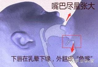 产后这件事做错了,喂奶比顺产还要痛100倍.