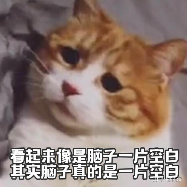 高中时代学校抓早恋时有什么特别震惊或搞笑的做法?