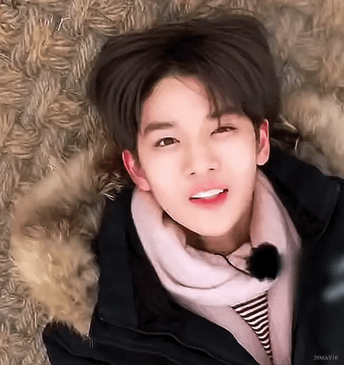 这张gif经典.躺下来都这么好看,是冬日里的小王子!