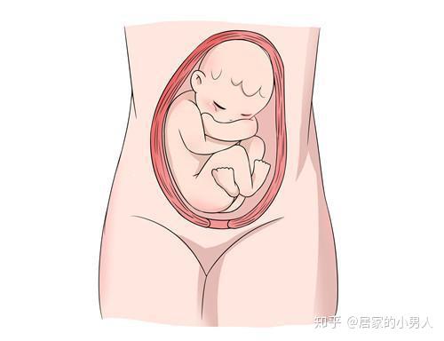 好不好顺产得看胎儿姿势,一个动作让他转到最佳胎位
