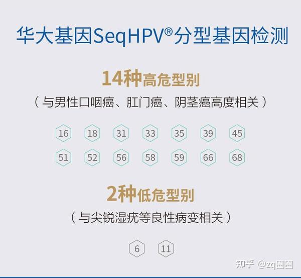 警惕|男性也要预防hpv感染,hpv并非女性"专属"