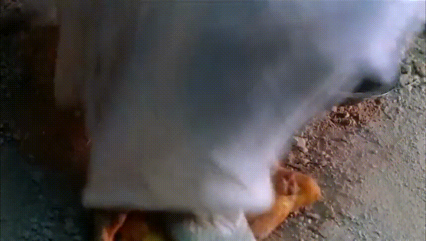858_486gif 动态图 动图