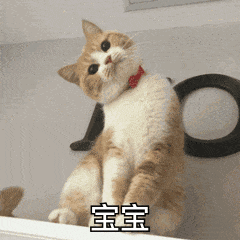 调戏老婆的表情包,一整套哦,情侣必备,快来收图吧