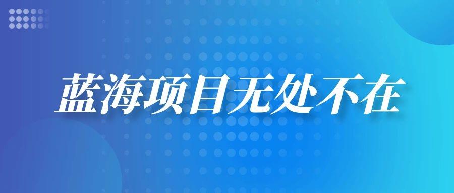蓝海项目无处不在