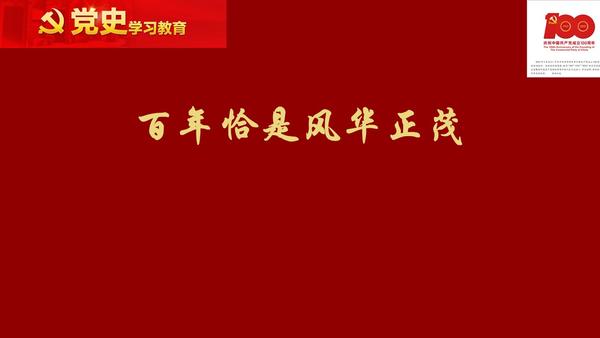 党史学习教育党课ppt及配套文字讲稿百年恰是风华正茂