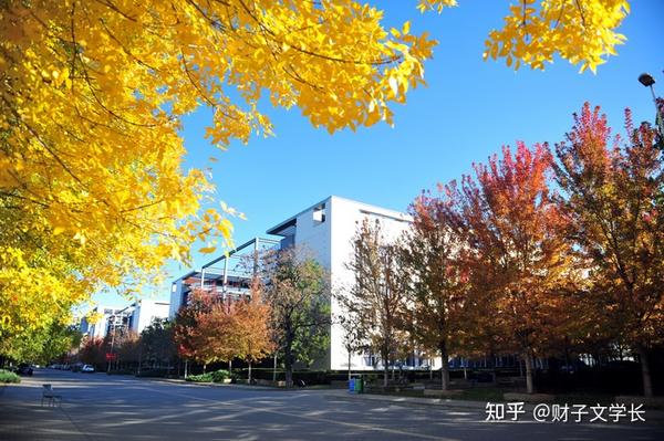 关于天津财经大学研究生报考和考研经验一