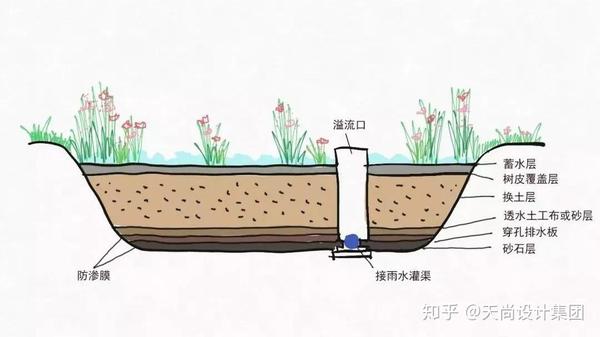 下沉式绿地主要适用于建筑,道路及停车场的周边绿地,以及城市绿化带