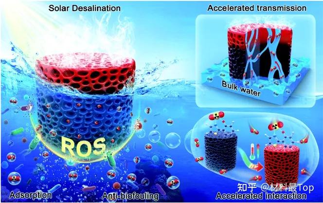 南昌大学邱建丁梁汝萍jmcacofs水凝胶实现海水淡化与提铀